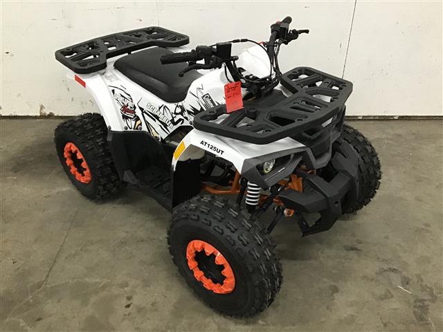 Coleman AT125UT Scrambler 2WD